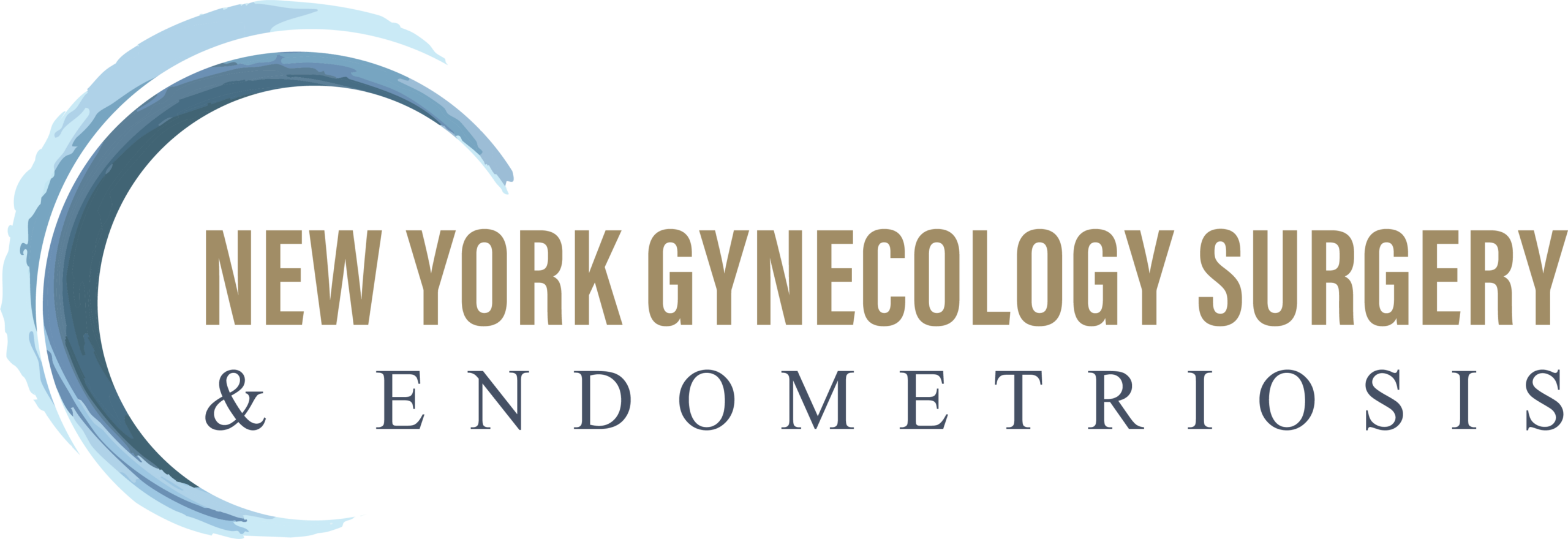 NYGSE Logo horizontal color